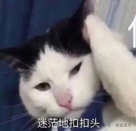 离婚三年又被拍到亲密逛超市，他俩这是纯带娃还是真复合了？