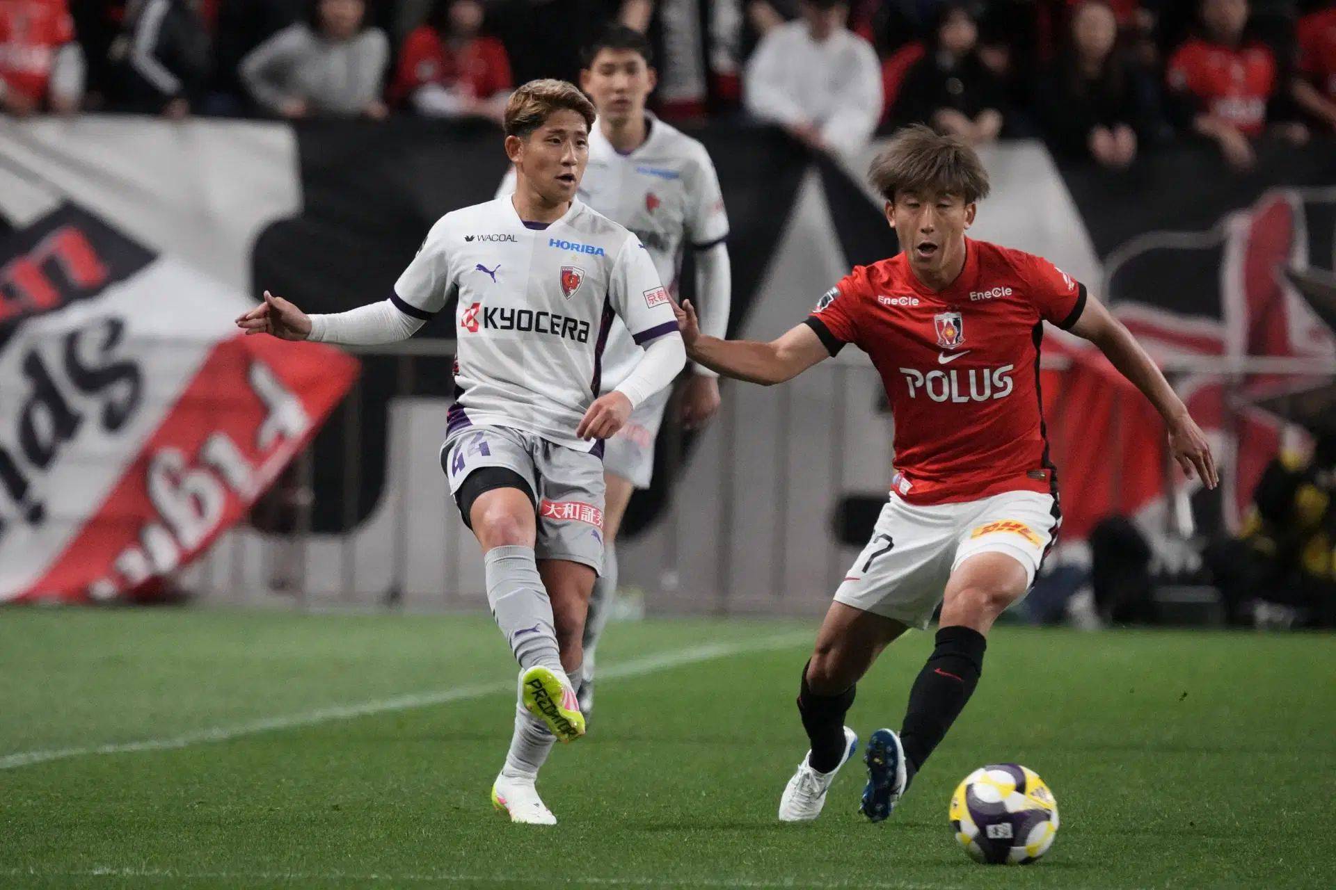 8.24 三场赛事前瞻 帕尔马能逆袭尤文？东京 FC 主场掉链，诺丁汉森林携胜来袭？（共13场分享）