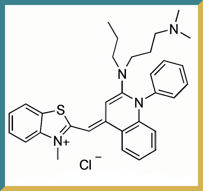 科研试剂Sybr Green I （10000X in DMSO）的作用机制