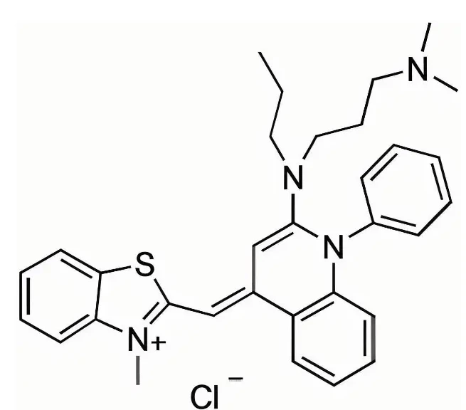 实验避坑指南：Sybr Green I （10000X in DMSO）的应用领域及储存方式