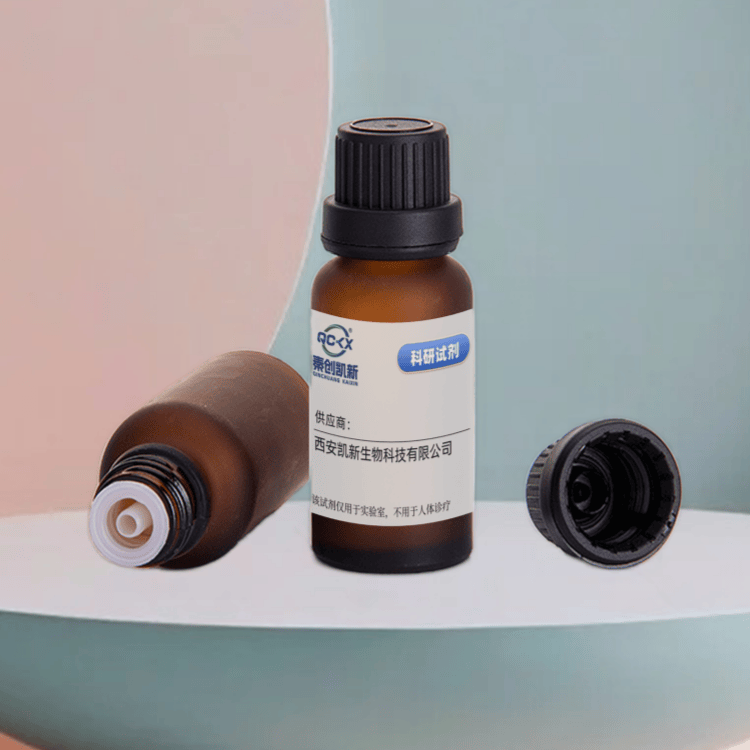 GelGreen Nucleic Acid Gel Stain 10, 000x in DMSO兼容性与灵活性