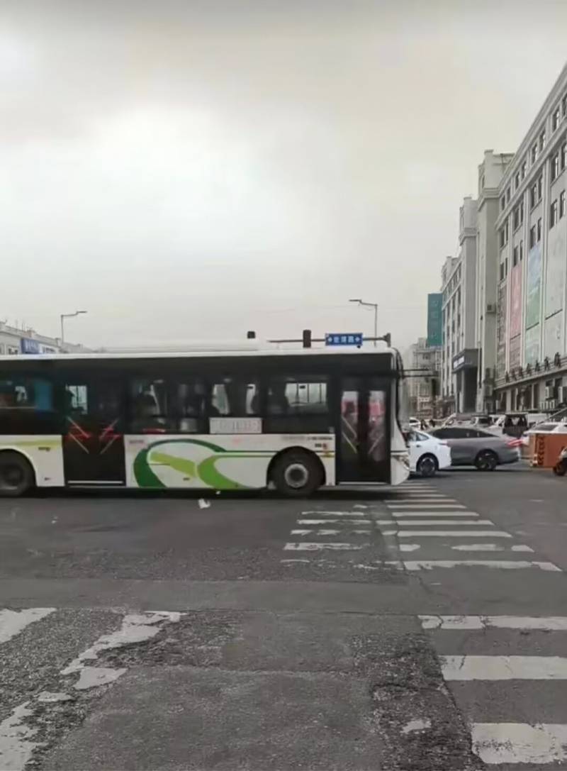 连线哈尔滨沙尘暴亲历者：部分倒伏的树还未清理，暂时不外出