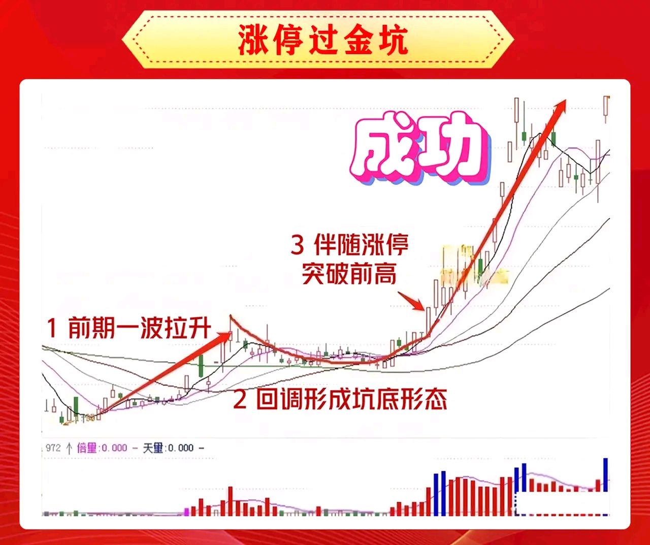 金新农股票(金新农股票目标价2025)