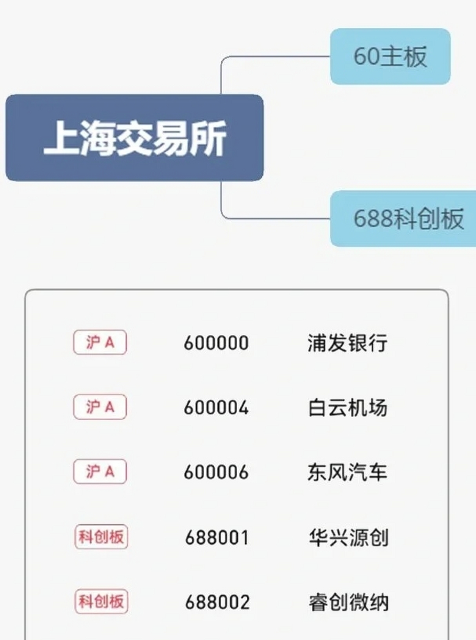 300开头的是什么股票(300开头的是什么股票涨跌幅度)