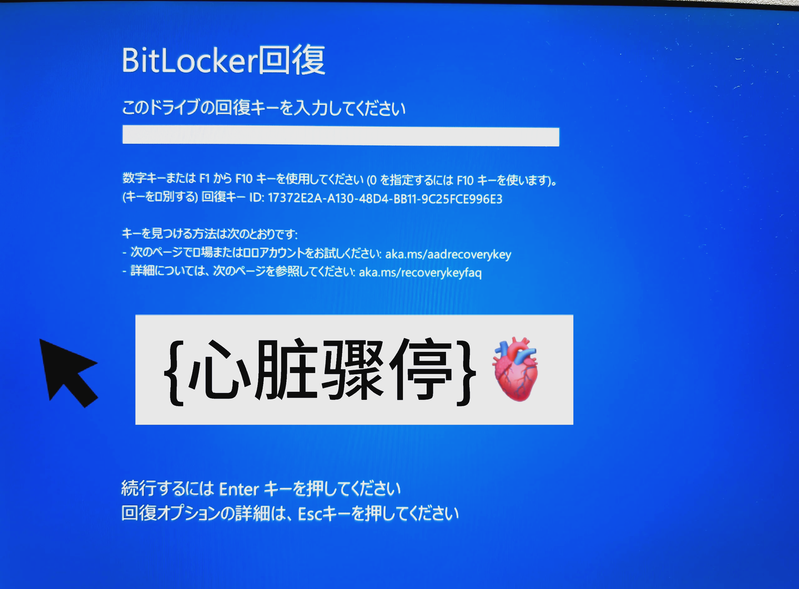 BITOP官网(bitone官网)